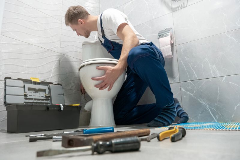 Commercial Toilet Repair